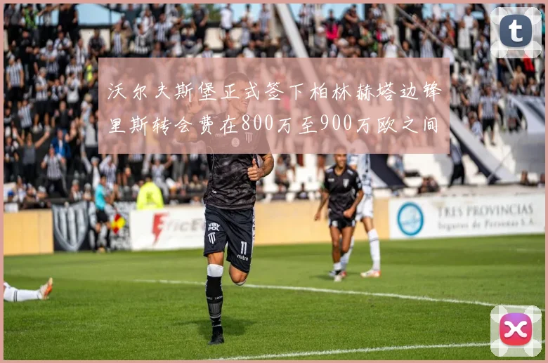 沃尔夫斯堡正式签下柏林赫塔边锋里斯转会费在800万至900万欧之间