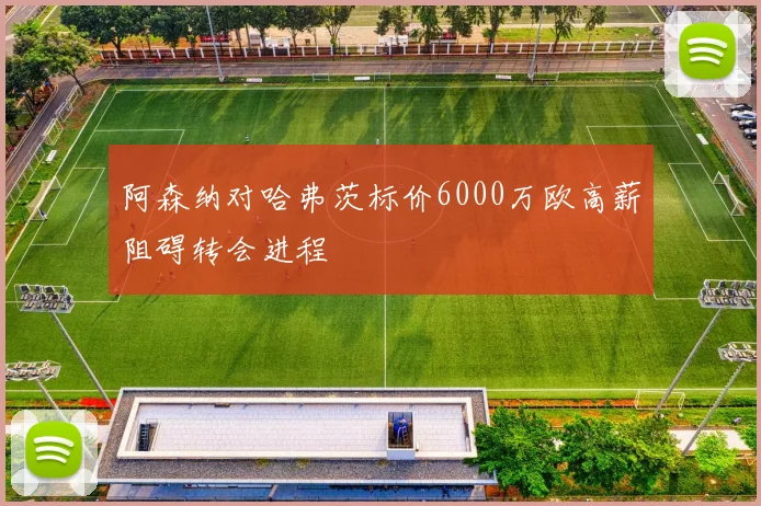 阿森纳对哈弗茨标价6000万欧高薪阻碍转会进程